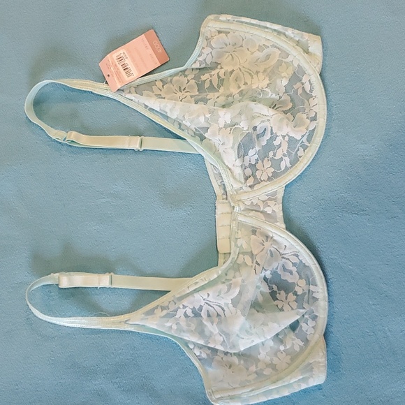 Gilligan & O'Malley Other - Gilligan & O'Malley Mint Color Lace Underwire Bra Size 40DD